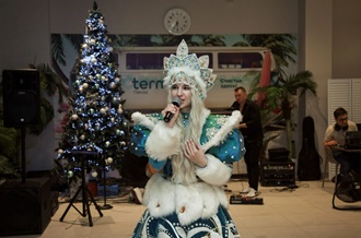 Новый год и новогодние каникулы 2026 в Termoland