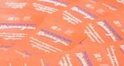 Столица Детства, Центр информационно-социальных проектов